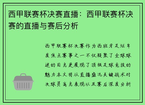 西甲联赛杯决赛直播：西甲联赛杯决赛的直播与赛后分析