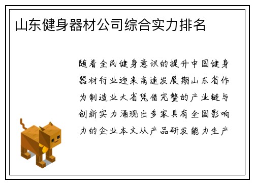 山东健身器材公司综合实力排名